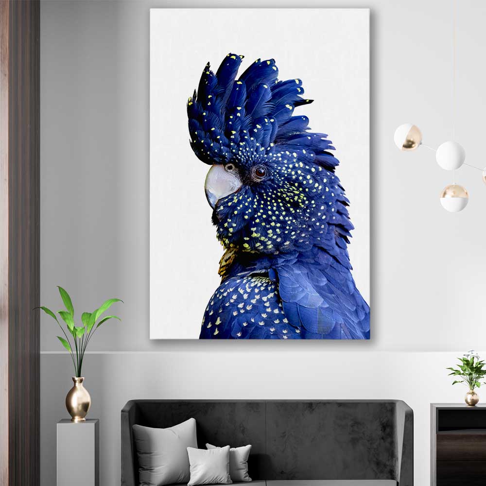 Animal wall art and canvas prints of Black Cockatoo One on a stretched canvas displayed in a room