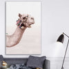 Animal wall art and canvas prints of Bohemian Camel on a stretched canvas displayed in a room