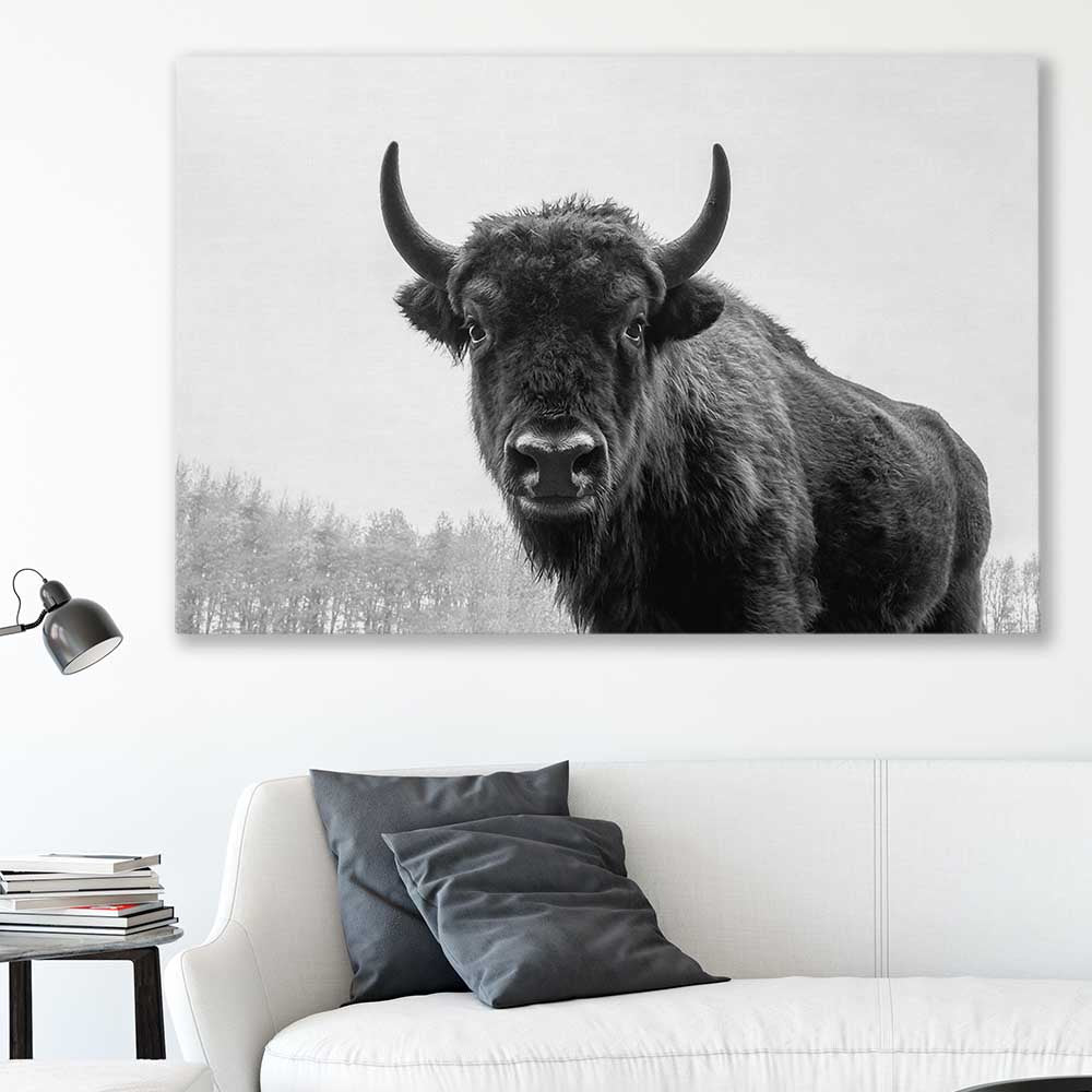 Animal wall art and canvas prints of Buffalo Gaze on a stretched canvas displayed in a room