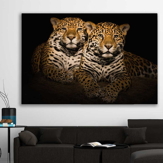 Animal wall art and canvas prints of Calm Jaguar Couple on a stretched canvas displayed in a room