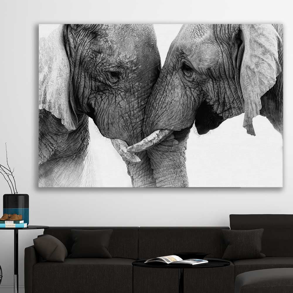 Animal wall art and canvas prints of Elephant Love on a stretched canvas displayed in a room
