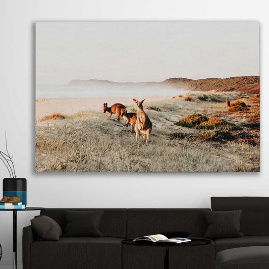 Animal wall art and canvas prints of Grazing Kangaroos on a stretched canvas displayed in a room