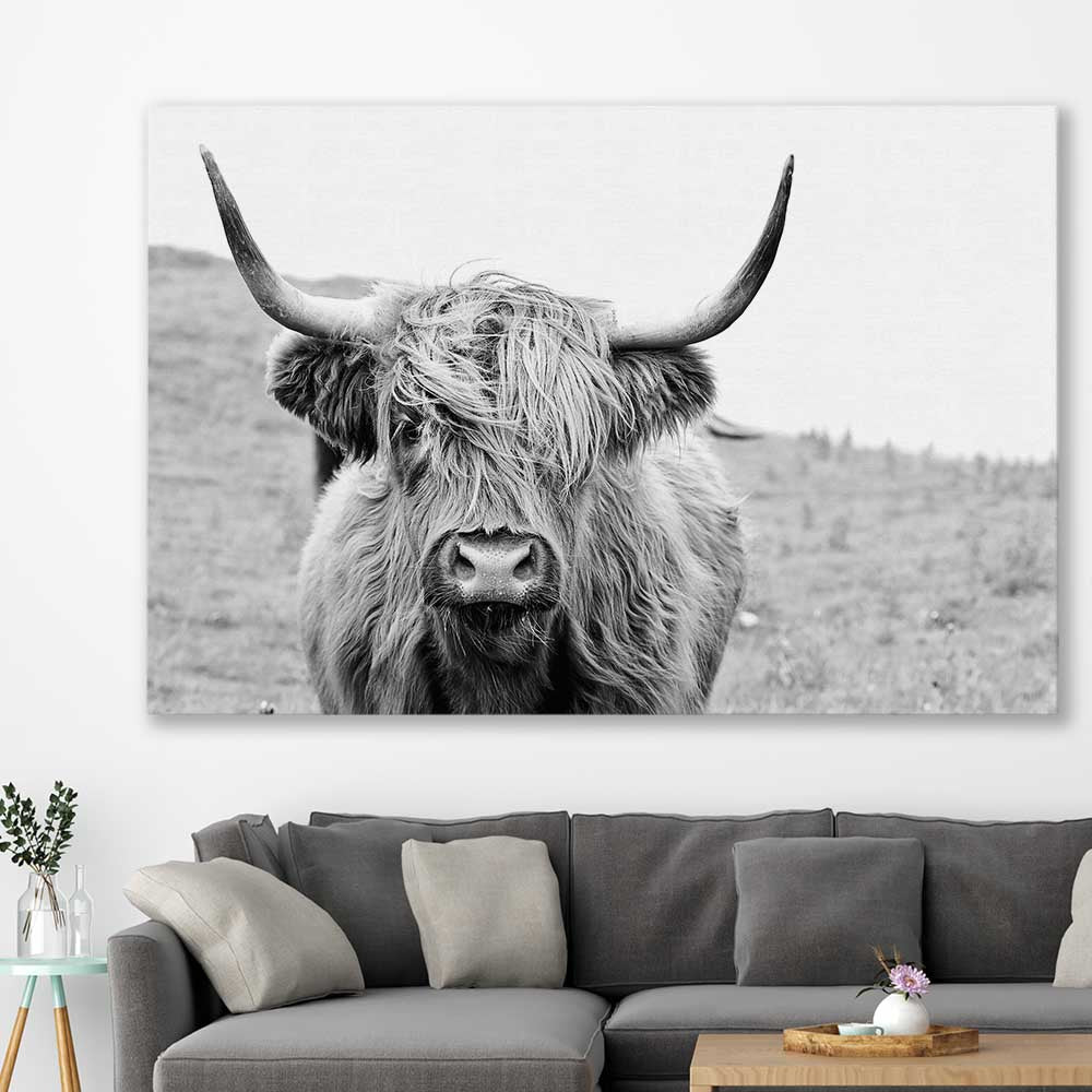 Animal wall art and canvas prints of Highland Hills on a stretched canvas displayed in a room