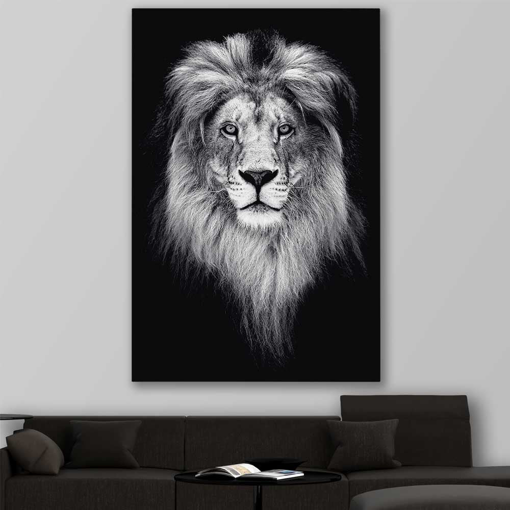 Animal wall art and canvas prints of Lion Gaze on a stretched canvas displayed in a room