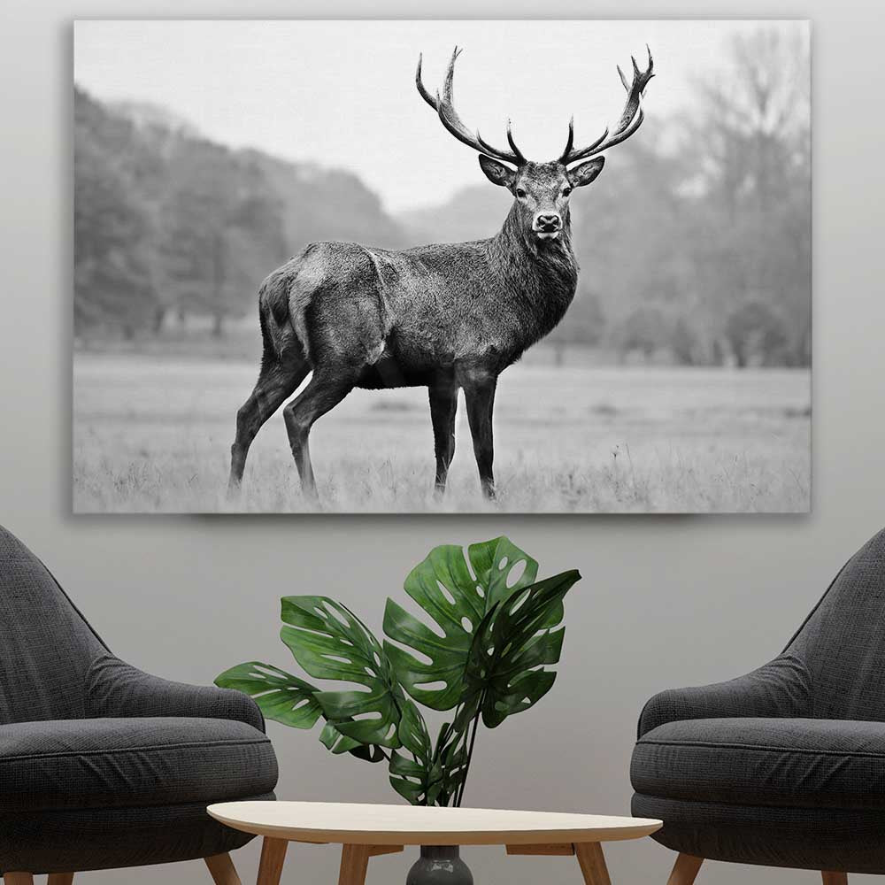 Animal wall art and canvas prints of Majestic Red Deer on a stretched canvas displayed in a room