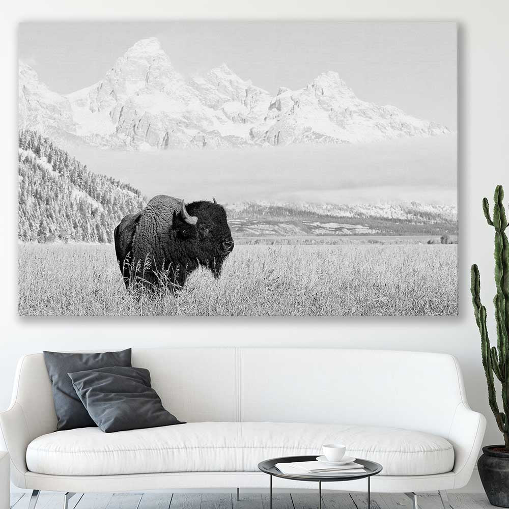 Animal wall art and canvas prints of Mountain Bison on a stretched canvas displayed in a room