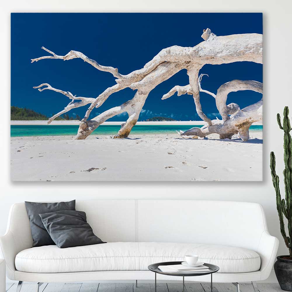 Beach and coastal wall art print of Whitsundays Driftwood on a stretched canvas displayed in a room