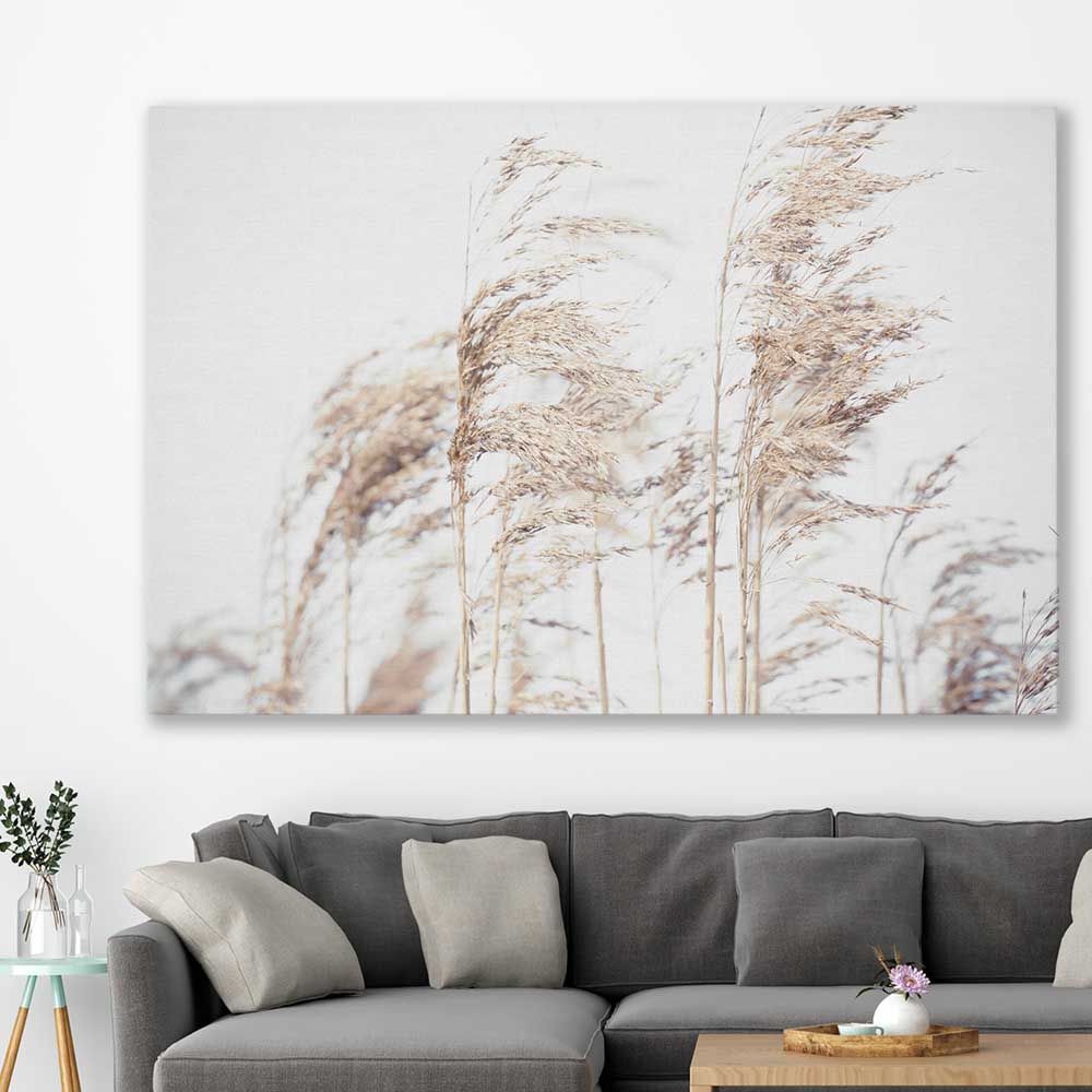 Floral print of Blowing Pampas on a stretched canvas displayed in a room