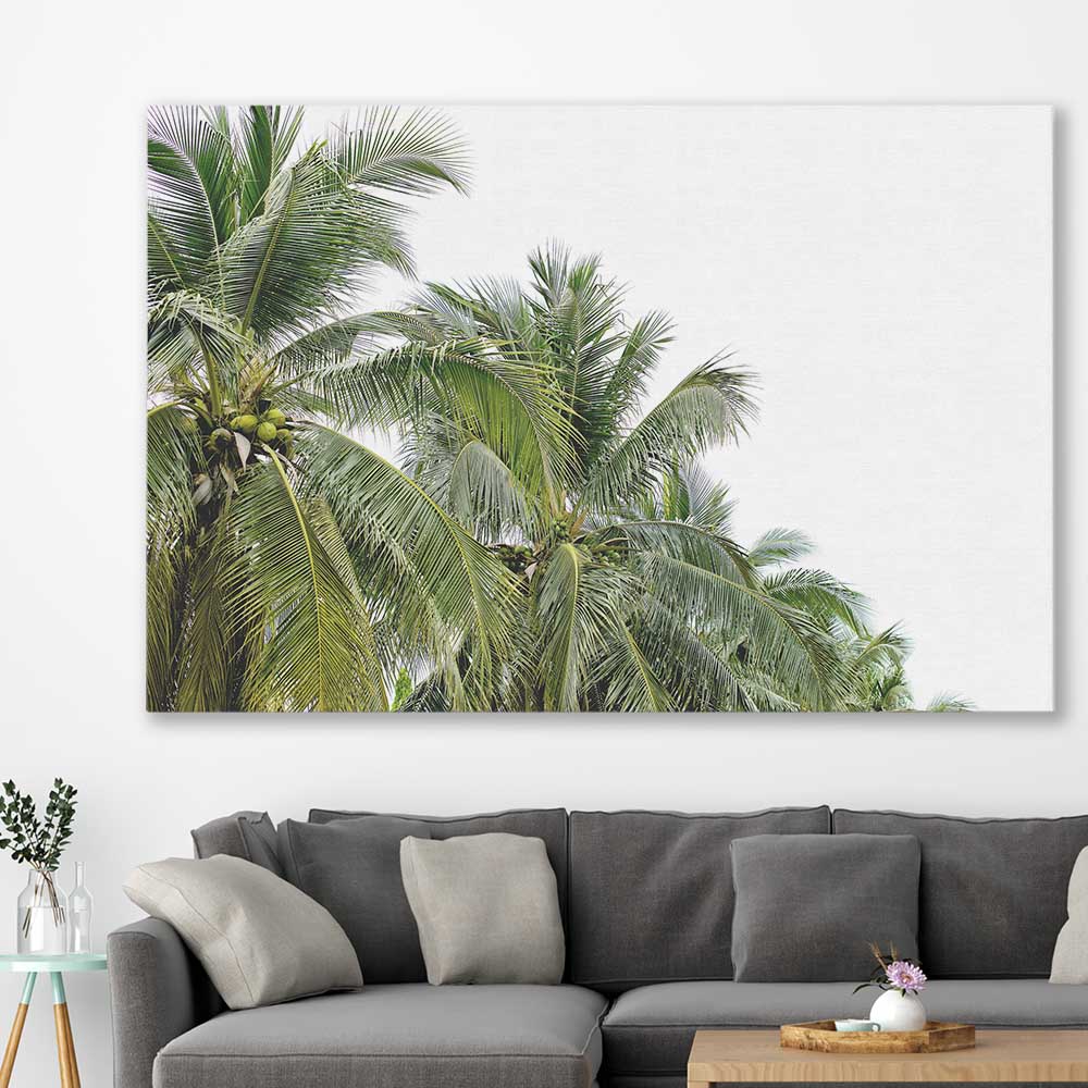 Floral print of Coconut Palms on a stretched canvas displayed in a room