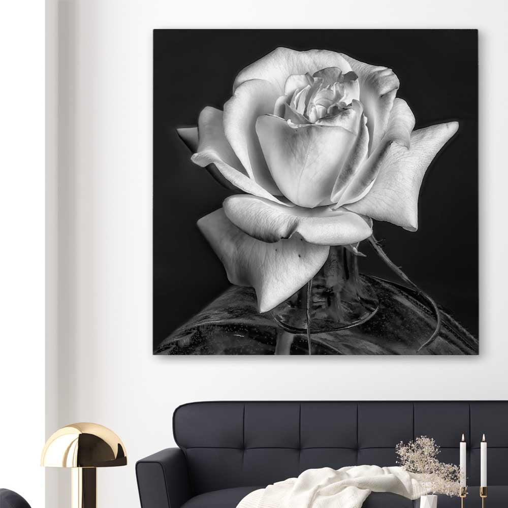 Floral print of Monochrome Rose on a stretched canvas displayed in a room