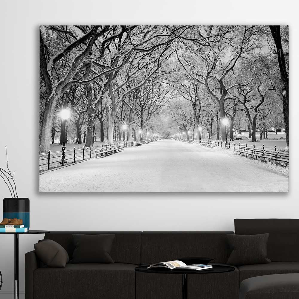 Floral print of Snowy Central Park on a stretched canvas displayed in a room