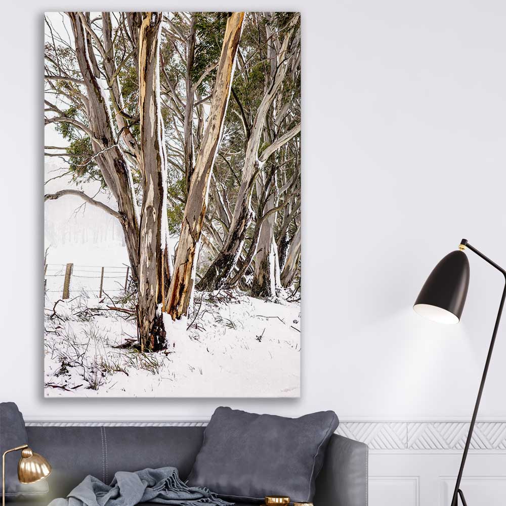 Floral print of Snowy Gumtrees on a stretched canvas displayed in a room