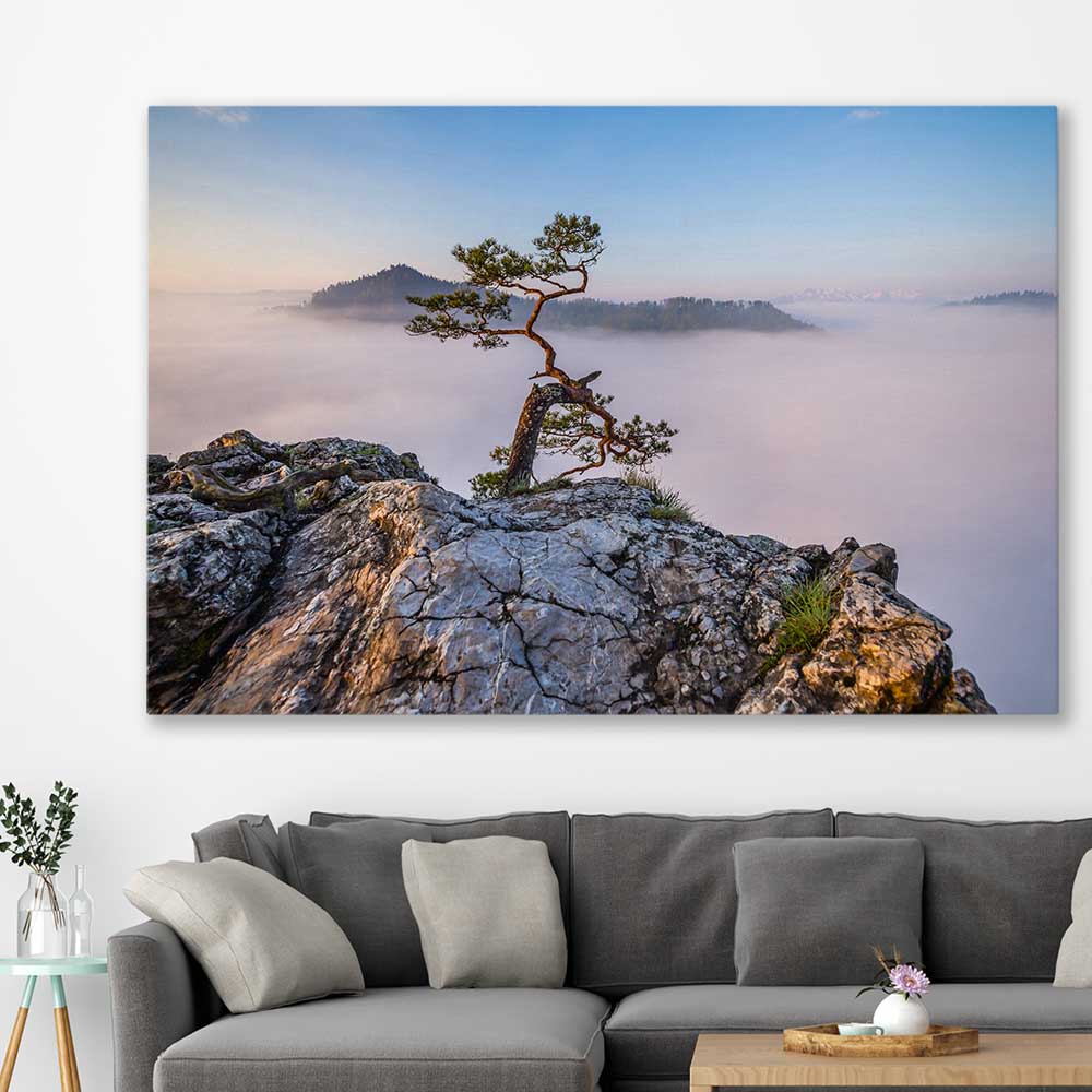 Floral print of Sokolica Peak Poland on a stretched canvas displayed in a room