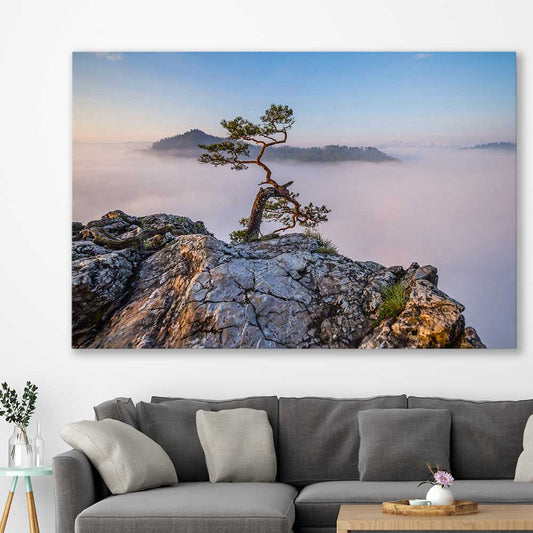 Floral print of Sokolica Peak Poland on a stretched canvas displayed in a room