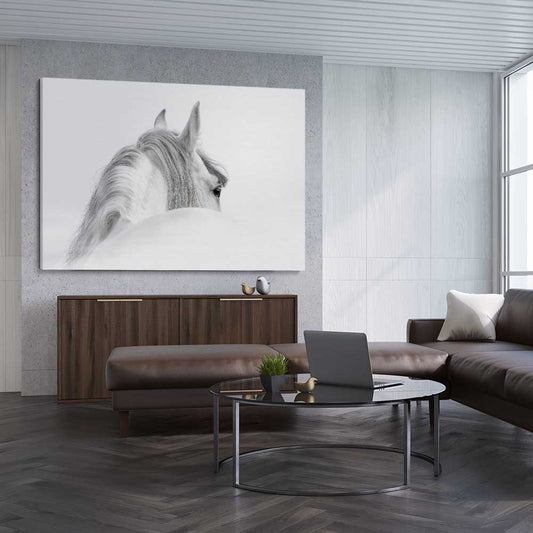 Animal wall art and canvas prints of Andalusian Horse on a stretched canvas displayed from an angle in a room
