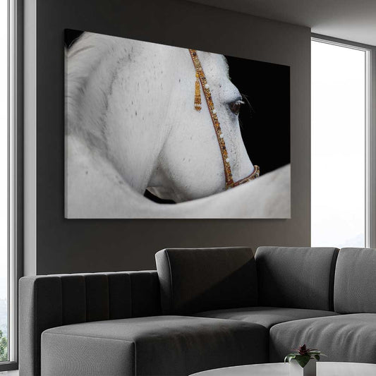 Animal wall art and canvas prints of Arabian Horse on a stretched canvas displayed from an angle in a room