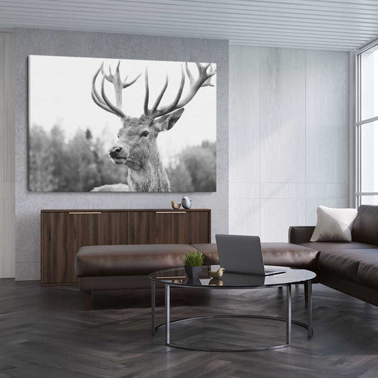 Animal wall art and canvas prints of Deer Focus on a stretched canvas displayed from an angle in a room