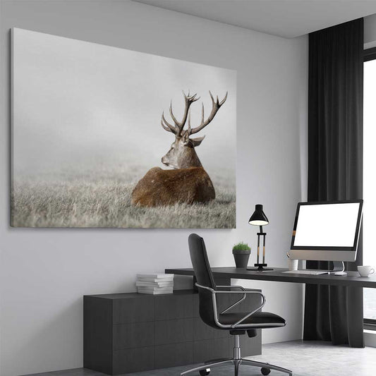 Animal wall art and canvas prints of Deer Solitude on a stretched canvas displayed from an angle in a room