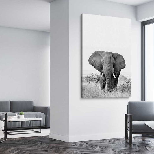 Animal wall art and canvas prints of Elephant Gaze on a stretched canvas displayed from an angle in a room