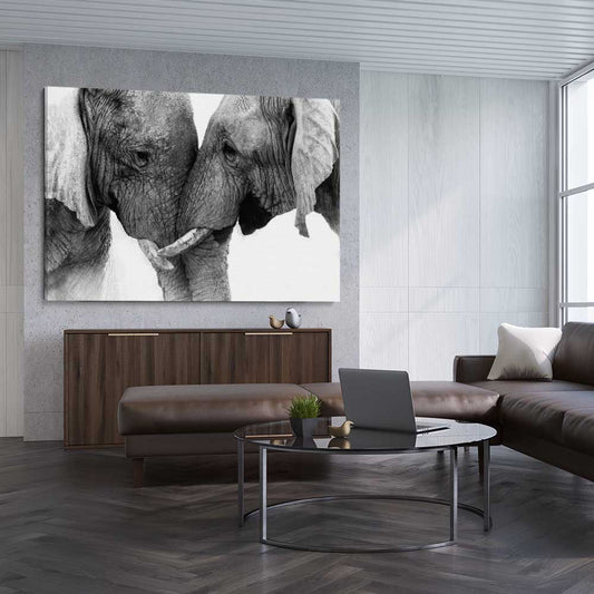 Animal wall art and canvas prints of Elephant Love on a stretched canvas displayed from an angle in a room