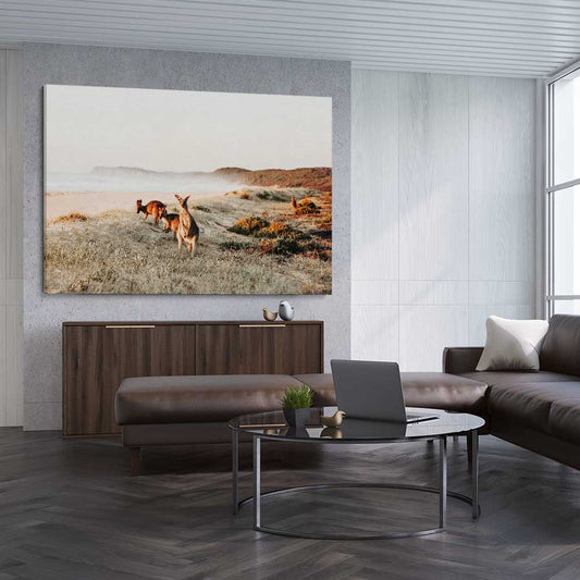 Animal wall art and canvas prints of Grazing Kangaroos on a stretched canvas displayed from an angle in a room