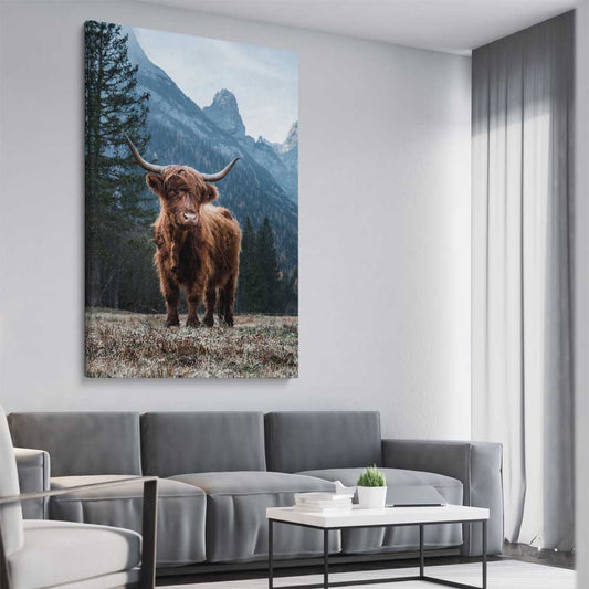 Animal wall art and canvas prints of Growing Highland on a stretched canvas displayed from an angle in a room
