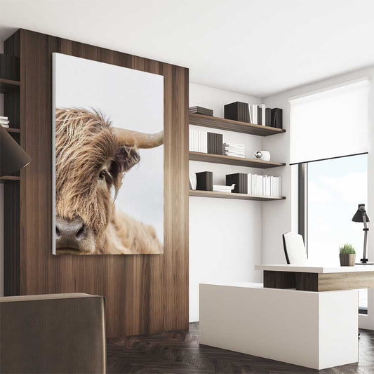 Animal wall art and canvas prints of Highland Graze on a stretched canvas displayed from an angle in a room