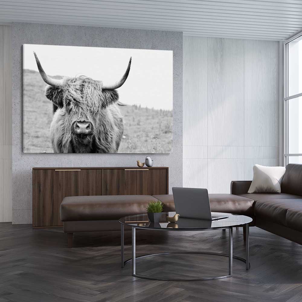 Animal wall art and canvas prints of Highland Hills on a stretched canvas displayed from an angle in a room