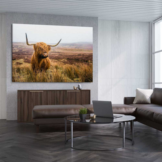 Animal wall art and canvas prints of Highland Horizon on a stretched canvas displayed from an angle in a room