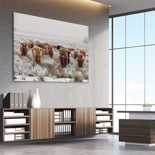 Animal wall art and canvas prints of Highland Ranges on a stretched canvas displayed from an angle in a room