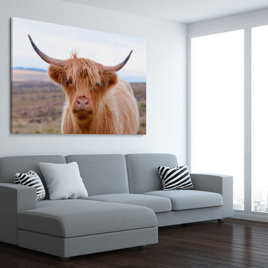 Animal wall art and canvas prints of Highland Wanderer on a stretched canvas displayed from an angle in a room