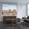 Animal wall art and canvas prints of Llamas in Peru on a stretched canvas displayed from an angle in a room