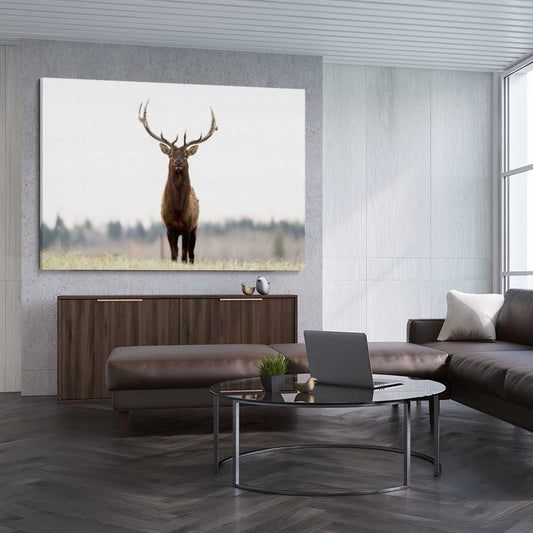 Animal wall art and canvas prints of Lone Deer on a stretched canvas displayed from an angle in a room