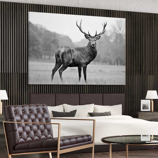 Animal wall art and canvas prints of Majestic Red Deer on a stretched canvas displayed from an angle in a room
