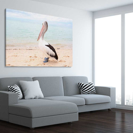 Animal wall art and canvas prints of Monkey Mia Pelican on a stretched canvas displayed from an angle in a room