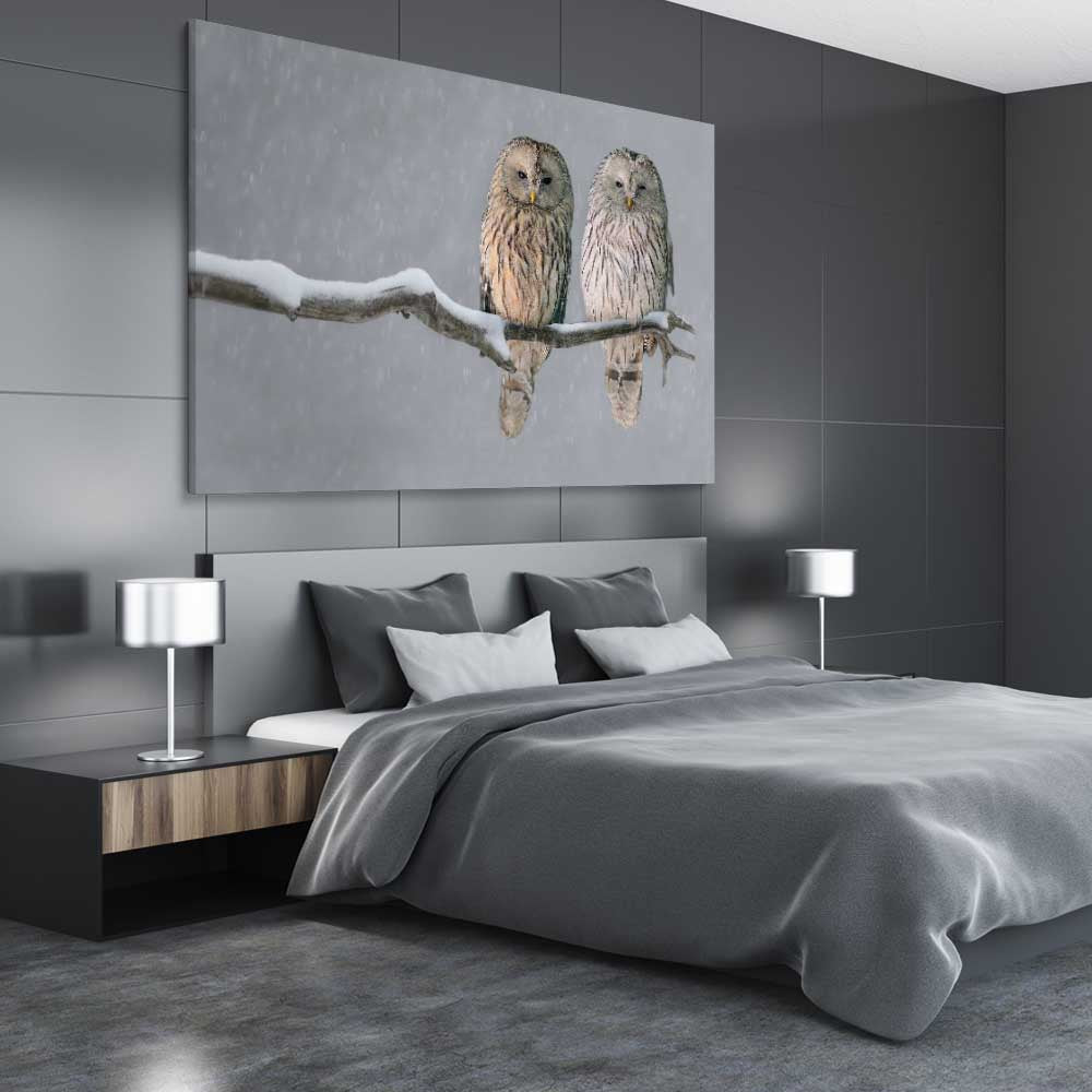Animal wall art and canvas prints of Perched Owls on a stretched canvas displayed from an angle in a room