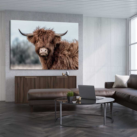 Animal wall art and canvas prints of Scottish Highland on a stretched canvas displayed from an angle in a room