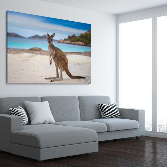 Animal wall art and canvas prints of Shoreline Kangaroo on a stretched canvas displayed from an angle in a room