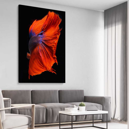 Animal wall art and canvas prints of Siamese Fighter on a stretched canvas displayed from an angle in a room