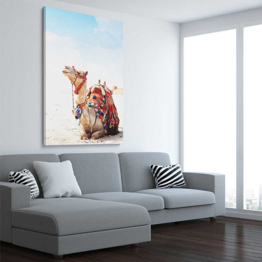 Animal wall art and canvas prints of Vibrant Camel on a stretched canvas displayed from an angle in a room
