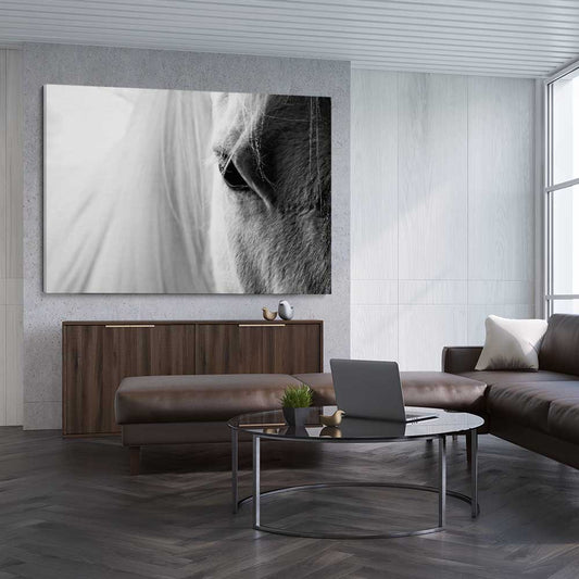 Animal wall art and canvas prints of White Horse Grace on a stretched canvas displayed from an angle in a room