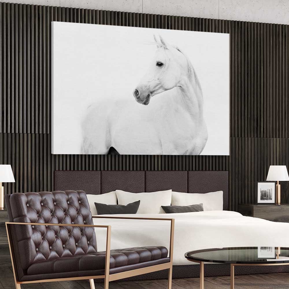 Animal wall art and canvas prints of White Horse on a stretched canvas displayed from an angle in a room