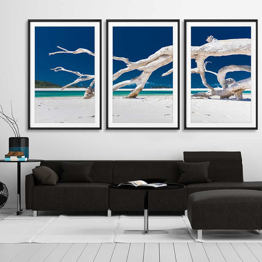 Beach and coastal wall art print of Whitsundays Driftwood Set on a stretched canvas displayed from an angle in a room