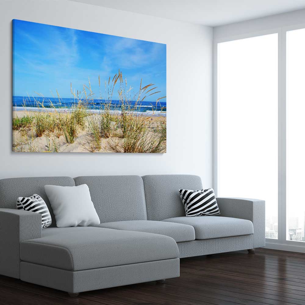 Beach and coastal wall art print of Algarve Dune Flora on a stretched canvas displayed from an angle in a room