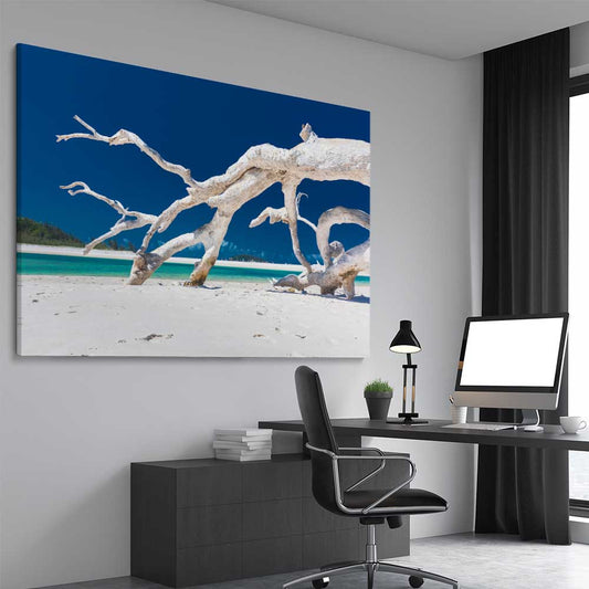 Beach and coastal wall art print of Whitsundays Driftwood on a stretched canvas displayed from an angle in a room