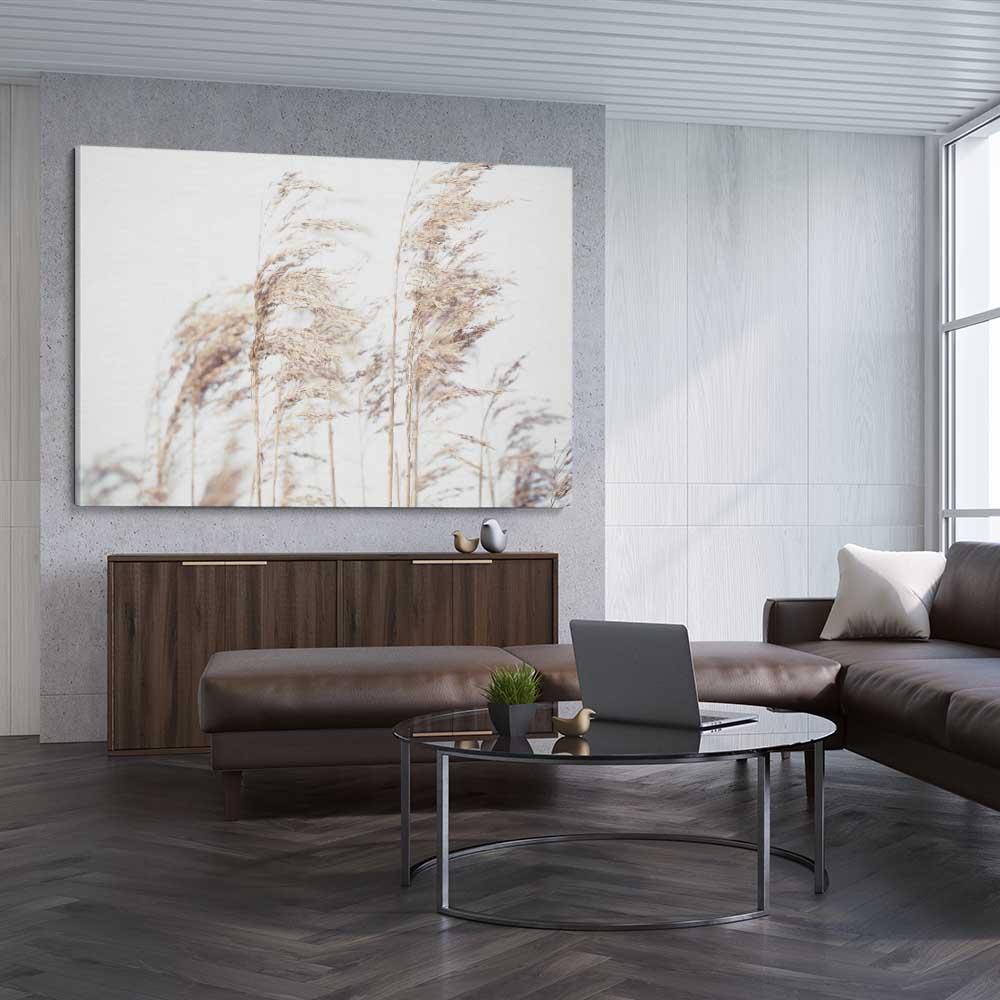 Floral print of Blowing Pampas on a stretched canvas displayed from an angle in a room