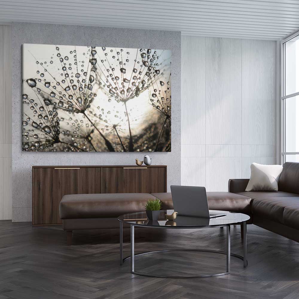 Floral print of Dandelion Seed Sunrise on a stretched canvas displayed from an angle in a room