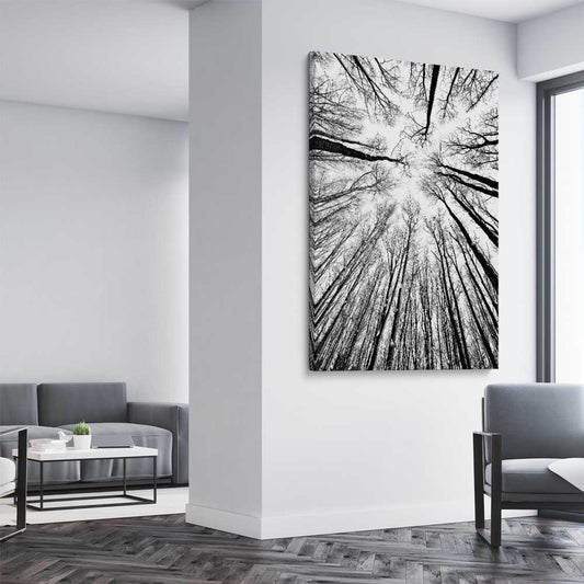 Floral print of Forest Sky on a stretched canvas displayed from an angle in a room
