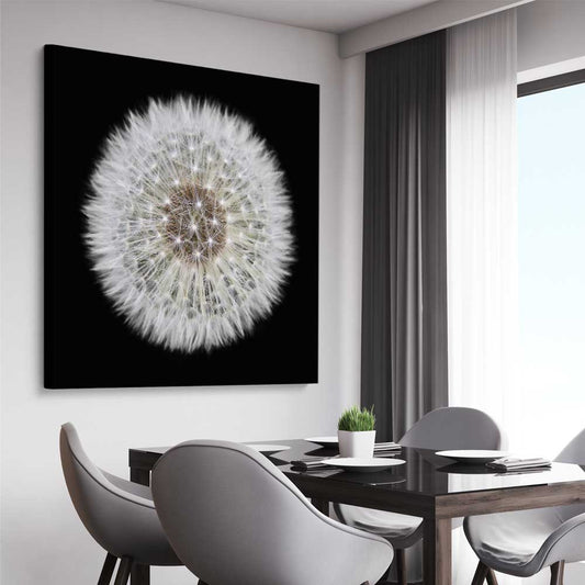 Inspirational wall art print of Isolated Dandelion on a stretched canvas displayed from an angle in a room