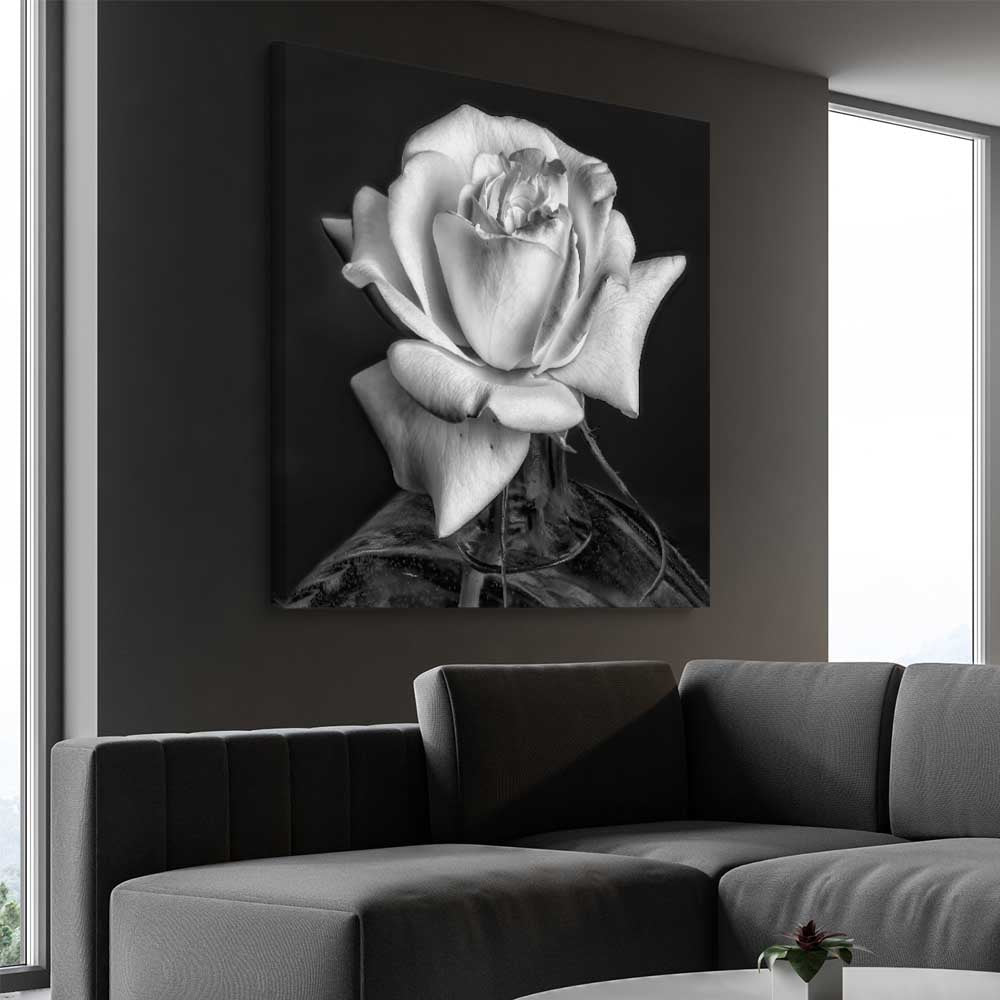 Floral print of Monochrome Rose on a stretched canvas displayed from an angle in a room